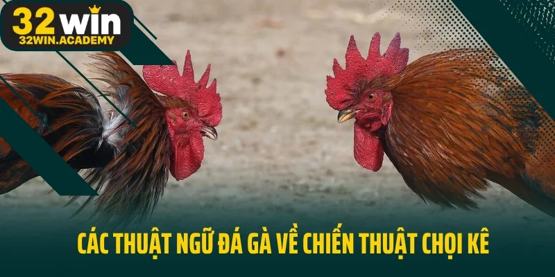 Các thuật ngữ đá gà về chiến thuật chọi kê