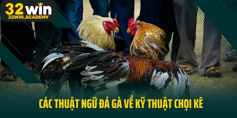 Các thuật ngữ đá gà về kỹ thuật chọi kê