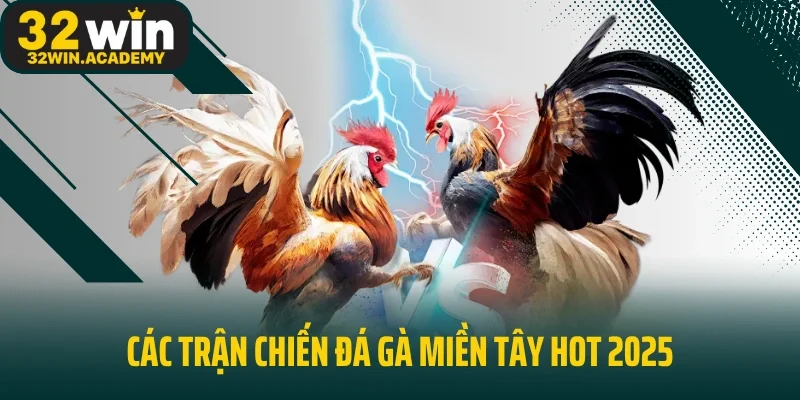 Các trận chiến đá gà miền Tây hot 2025