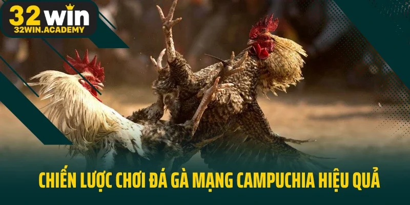 Chiến lược chơi đá gà mạng Campuchia hiệu quả