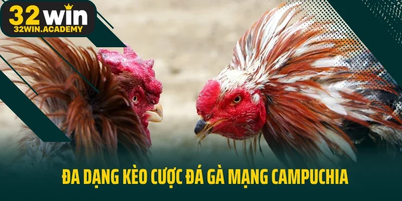 Đa dạng kèo cược đá gà mạng Campuchia