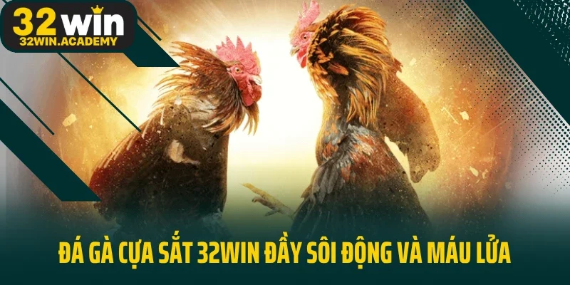 Đá gà cựa sắt 32WIN đầy sôi động và máu lửa
