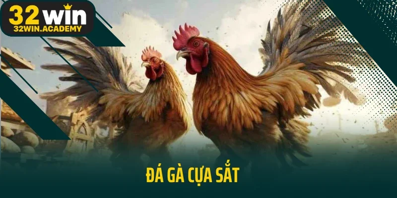 Đá Gà Cựa Sắt 32WIN Đem Lại Vô Số Các Trận Đấu Mãn Nhãn 