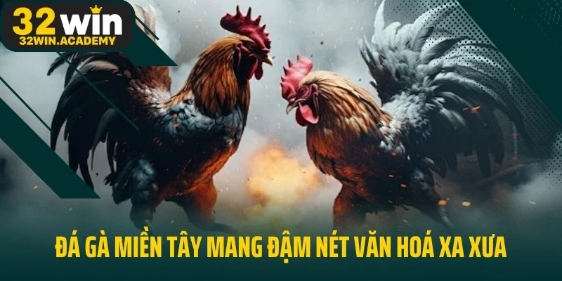 Đá gà miền Tây mang đậm nét văn hoá xa xưa
