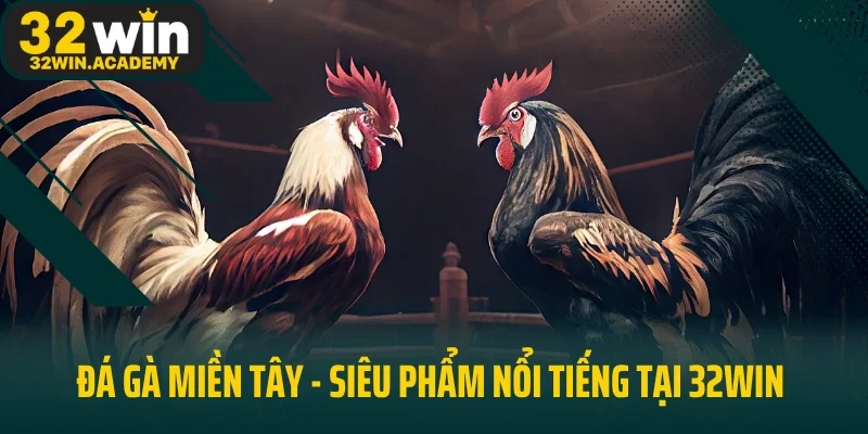 Đá Gà Miền Tây - Siêu Phẩm Nổi Tiếng Tại 32win Dành Cho Kê Thủ