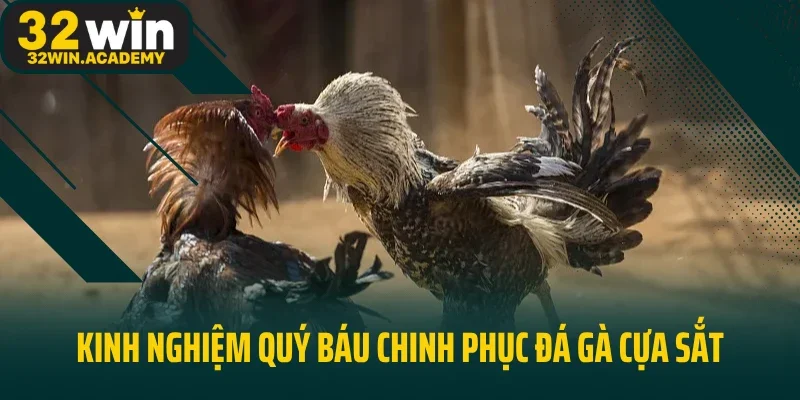 Kinh nghiệm quý báu chinh phục đá gà cựa sắt