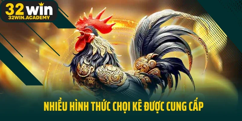 Nhiều hình thức chọi kê được cung cấp