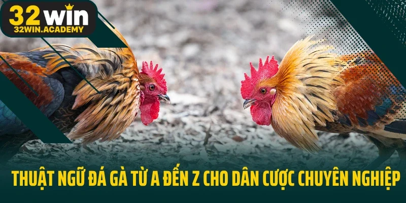 Thuật Ngữ Đá Gà Từ A Đến Z Cho Dân Cược Chuyên Nghiệp